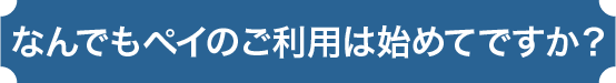 なんでもペイのご利用は初めてですか？